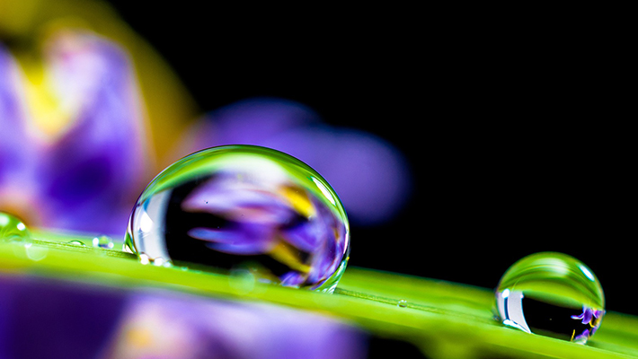 Macro photography often captures water drops on a larger scale